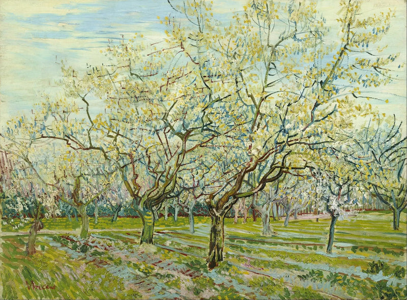 The White Orchard - Vincent van Gogh