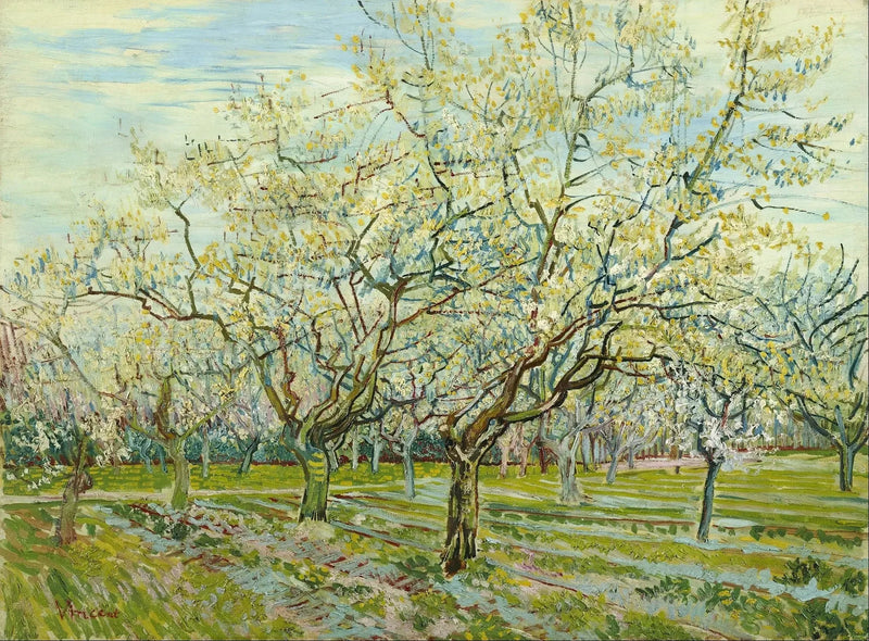 The White Orchard - Vincent van Gogh