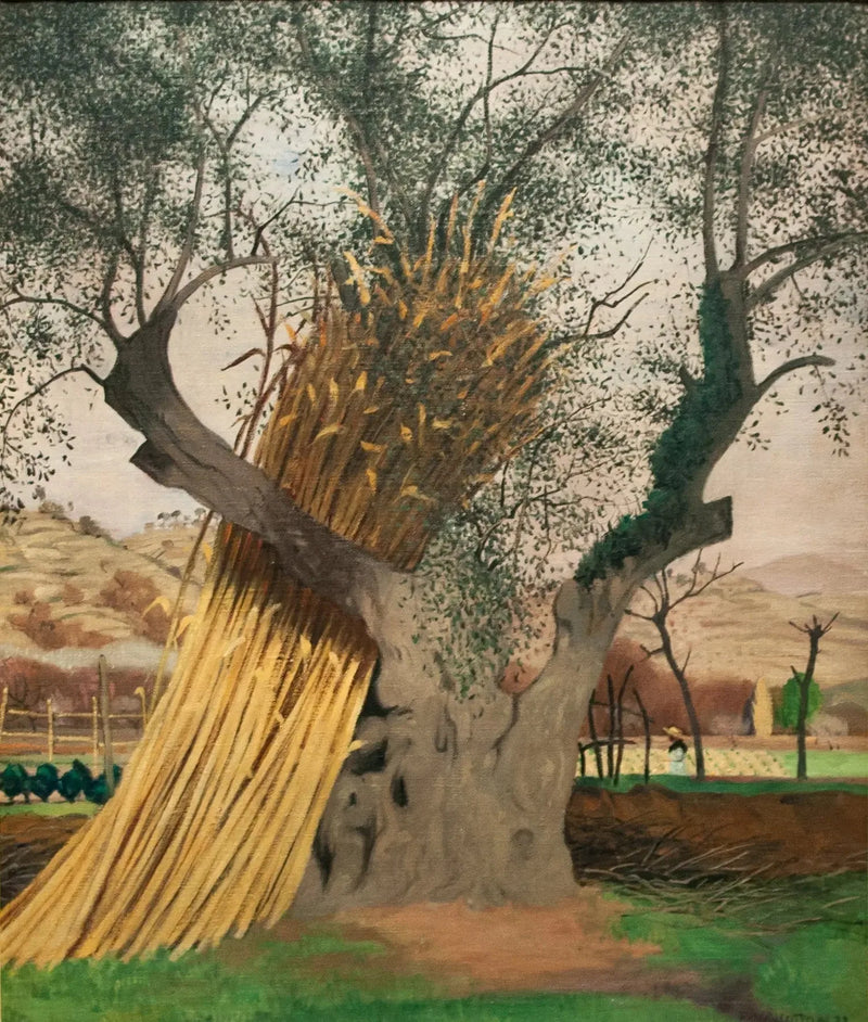 The Old Olive Tree - Félix Vallotton