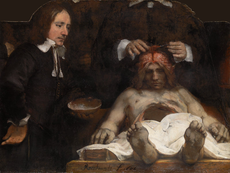 The Anatomy Lesson of Doctor Joan Deyman - Rembrandt