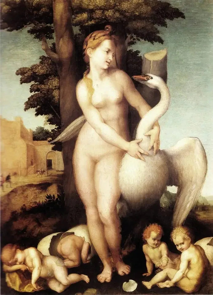Leda and the Swan - Andrea del Sarto