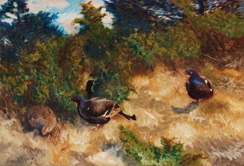 Lekling of the black grouse - Bruno Liljefors