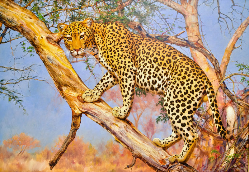 Leopard in a tree | 150 x 100 cm