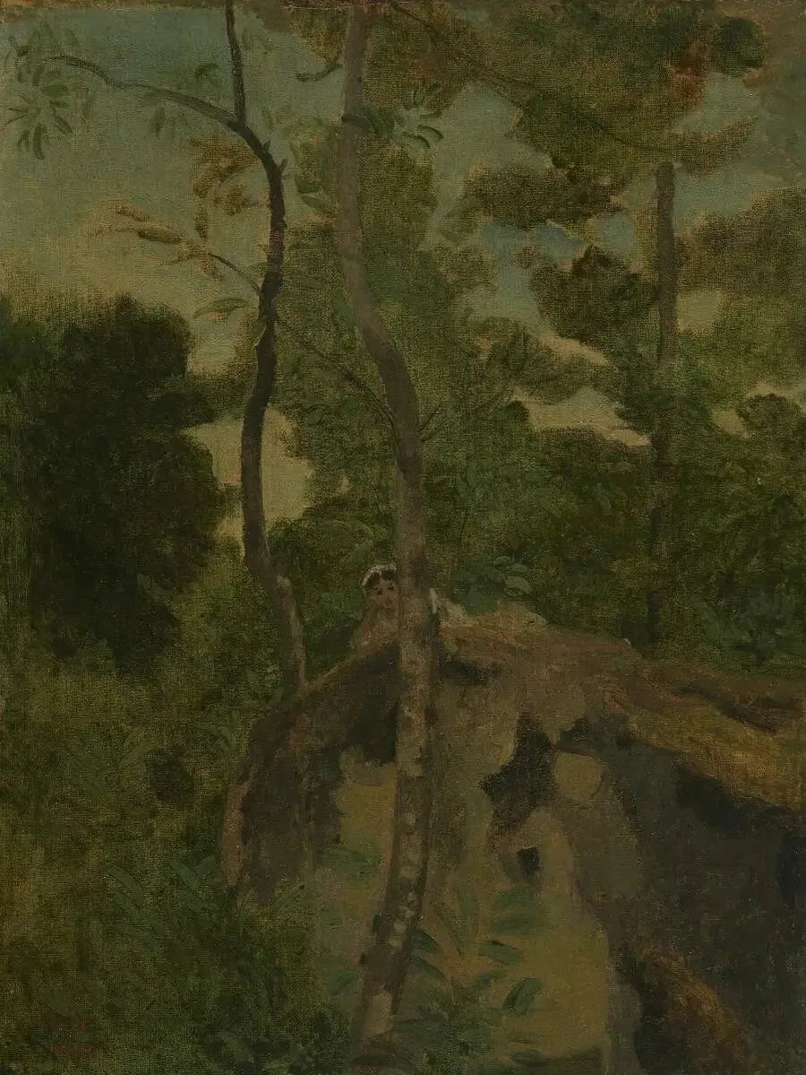Les Alinges. Young girl lying on a rock under the trees - Jean-Baptiste Camille Corot