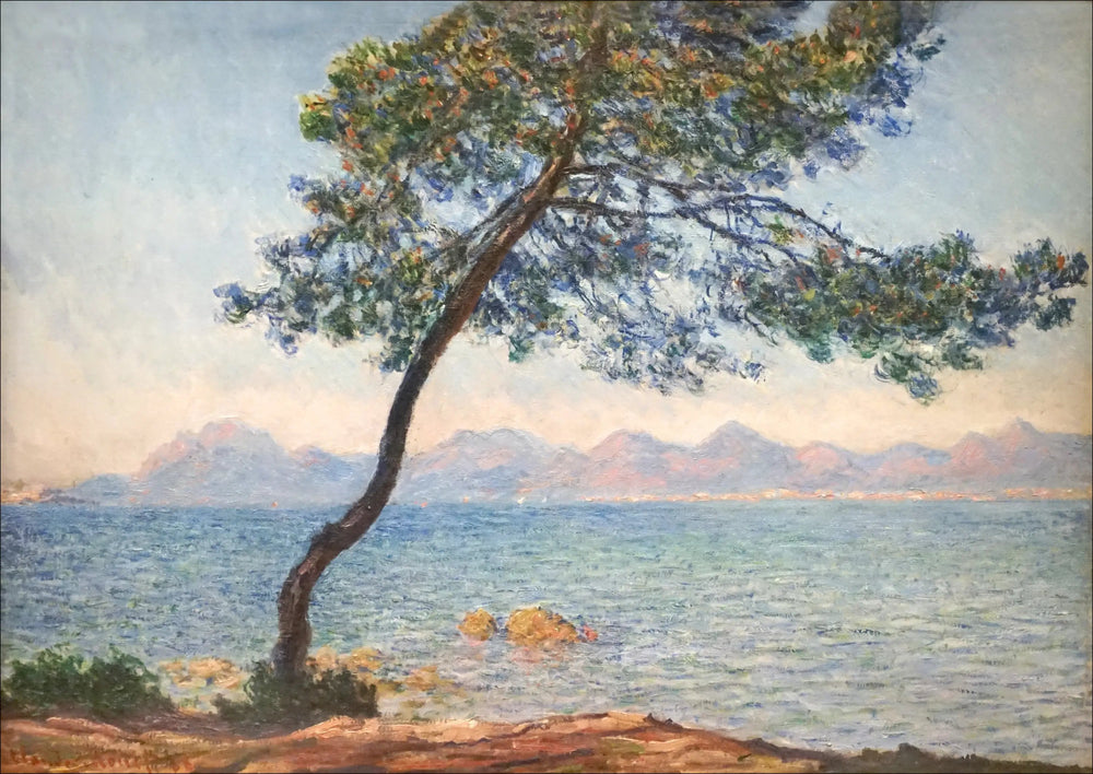 Les antibactériens - Claude Monet image 1 copie peinte à la main à l’huile