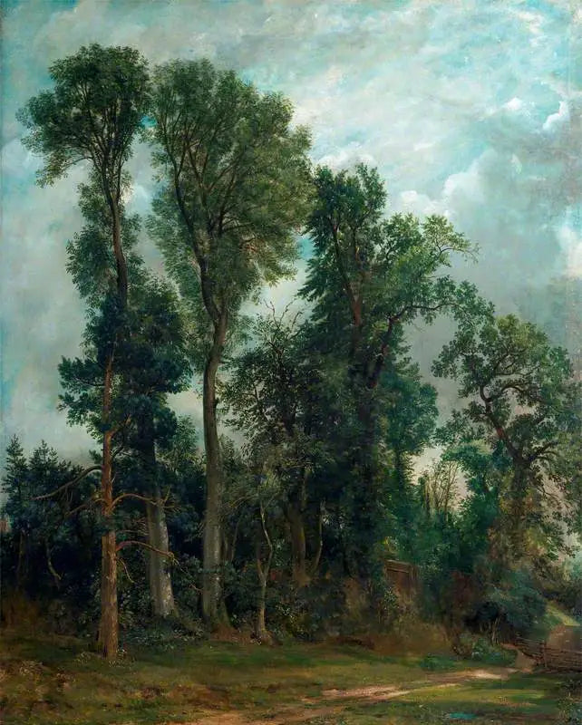 Hampstead Trees: The Path to the Church - John Constable