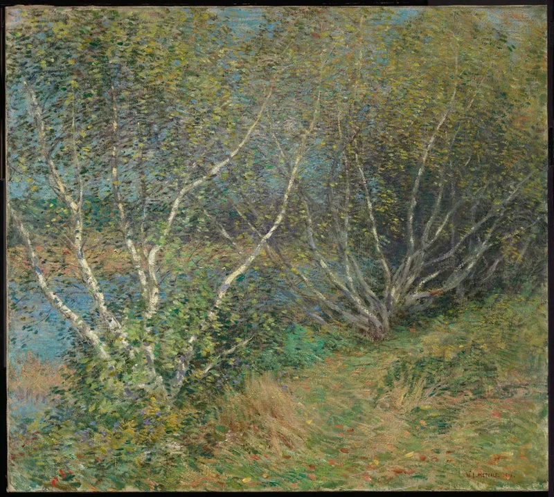 The Birches - Willard Metcalf