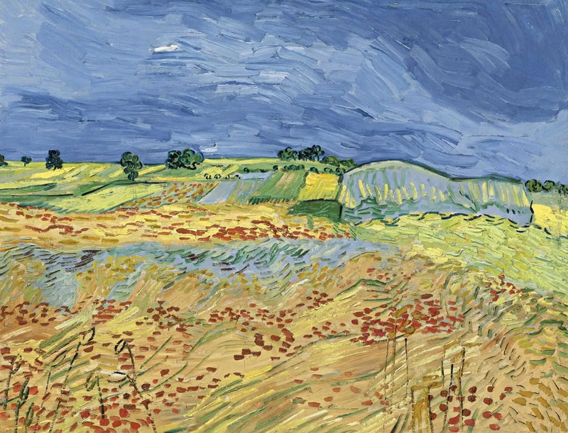 The Fields - Vincent van Gogh