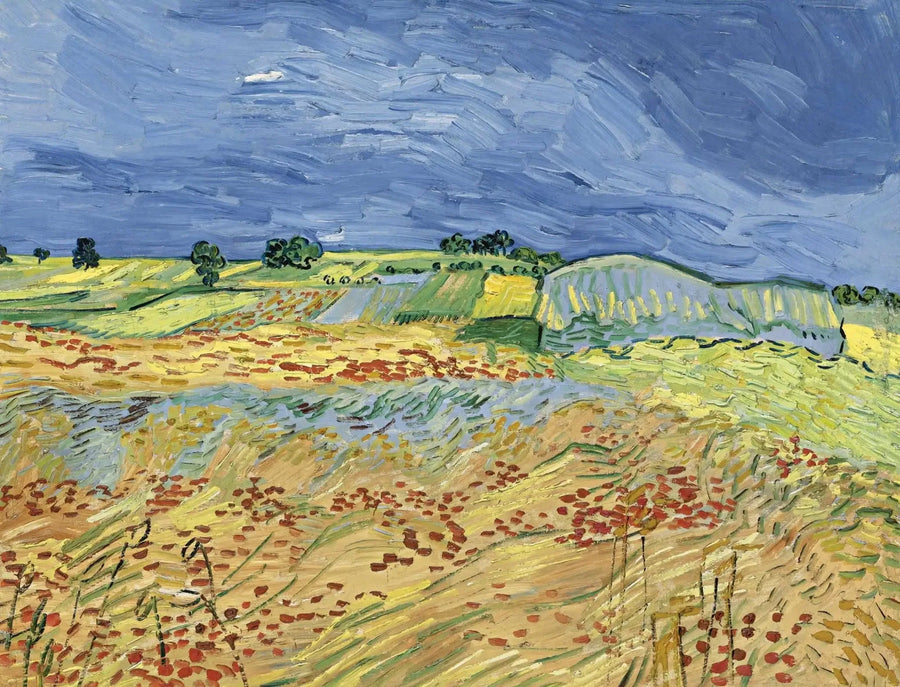 The Fields - Vincent van Gogh