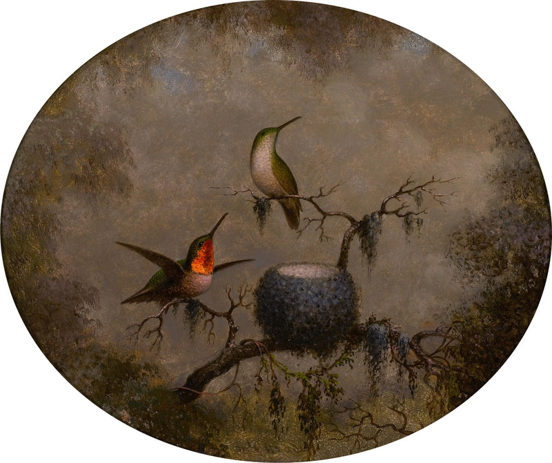 The hummingbirds and their nest - Martin Johnson Heade