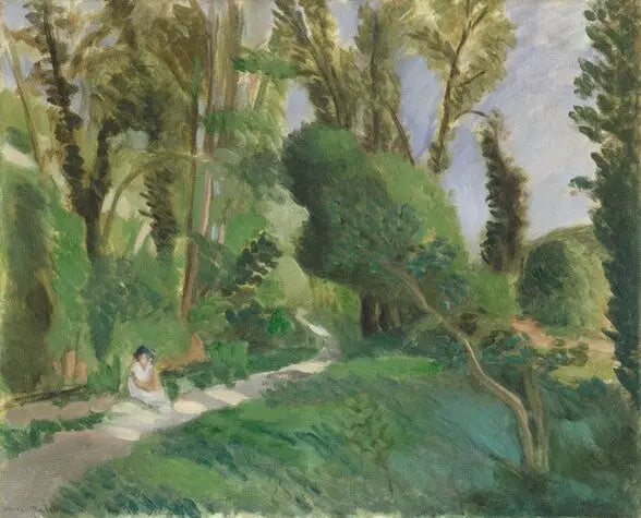 The Gorges of the Wolf - Henri Matisse