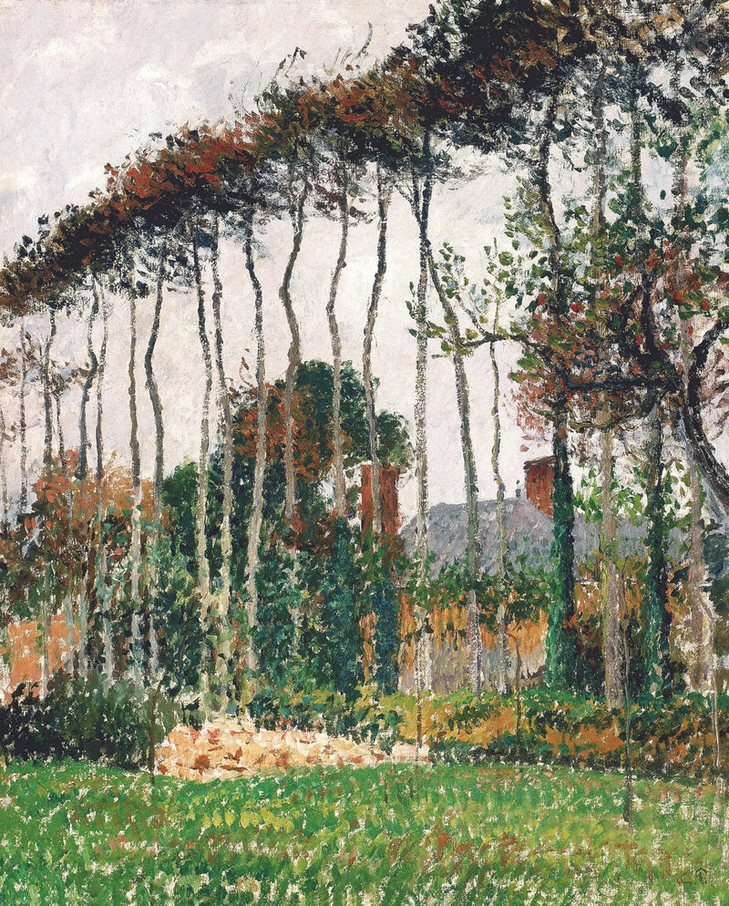 The Great Beeches at Varengeville - Camille Pissarro