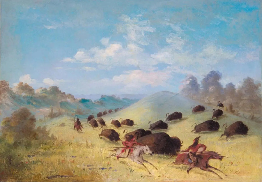 Comanche Indians hunting bison with spears and bows - George Catlin