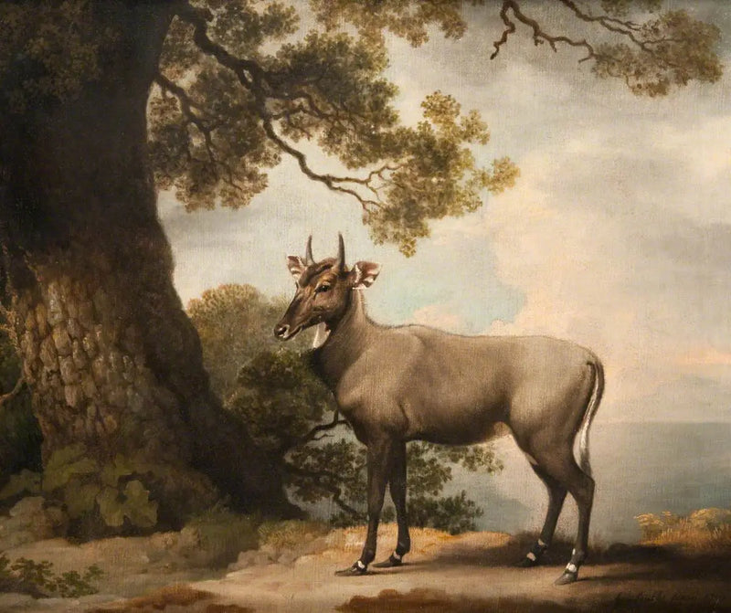 The Nilgaïs - George Stubbs