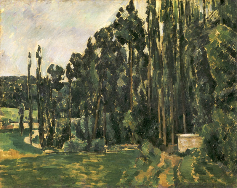 The Poplars - Paul Cézanne