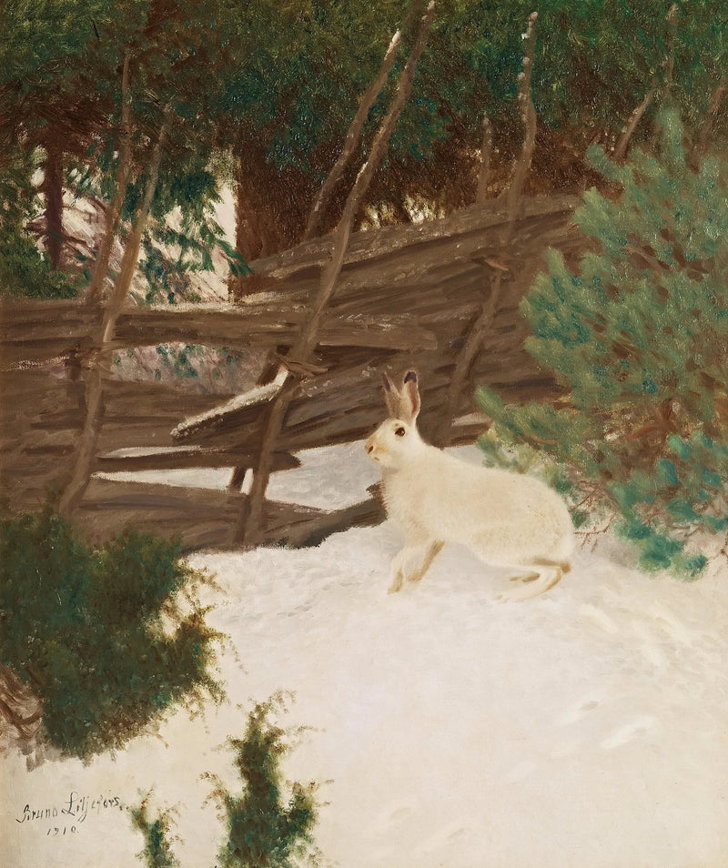 Winter Hare - Bruno Liljefors