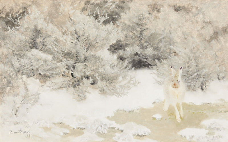 Winter Hare - Bruno Liljefors
