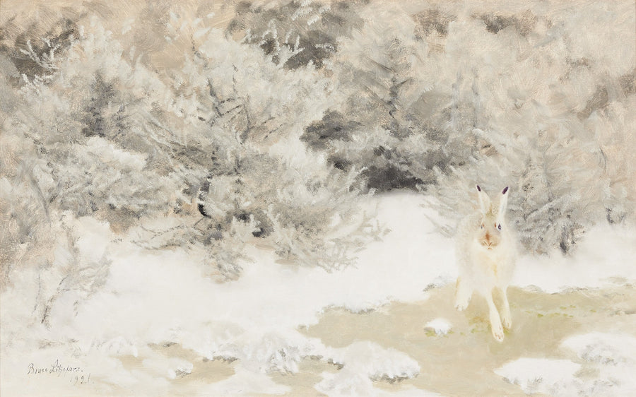 Winter Hare - Bruno Liljefors