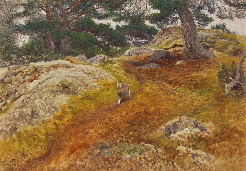 Hare in a forest landscape - Bruno Liljefors
