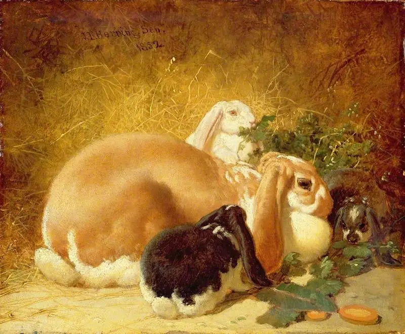 Belgian Hares - John Frederick Herring, Sr.