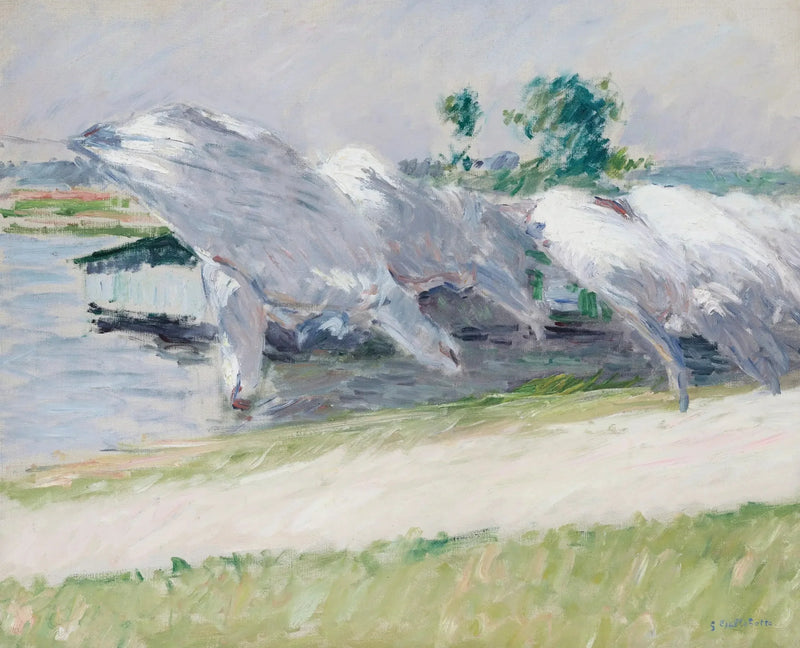 Drying Linen, Petit Gennevilliers - Gustave Caillebotte