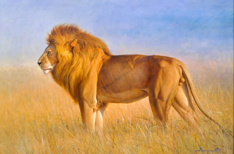 Lion in the savannah | 150 x 100 cm