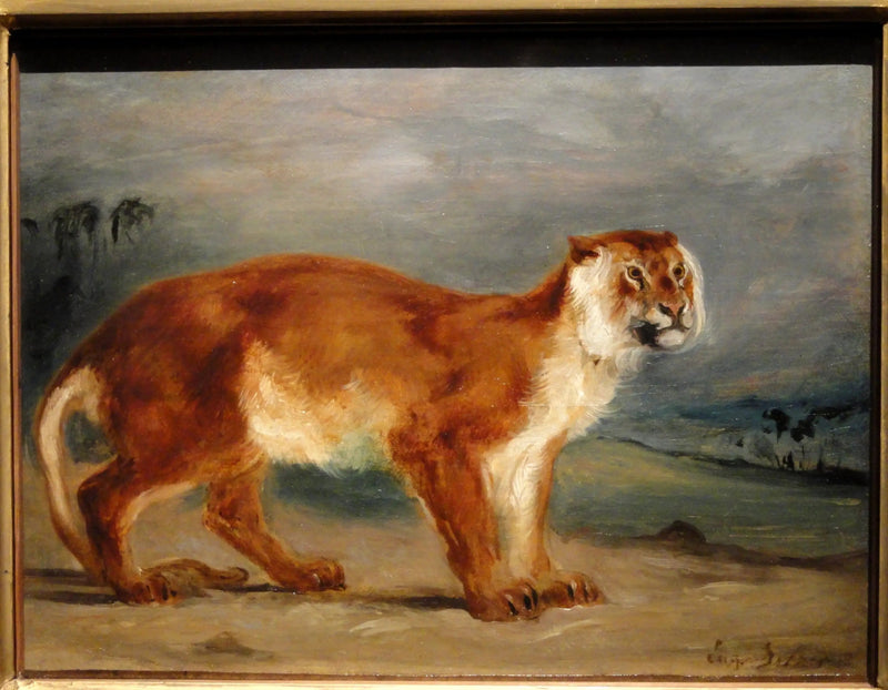 Lioness - Eugène Delacroix