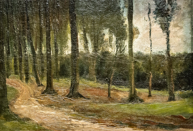 edge of a wood - Vincent van Gogh