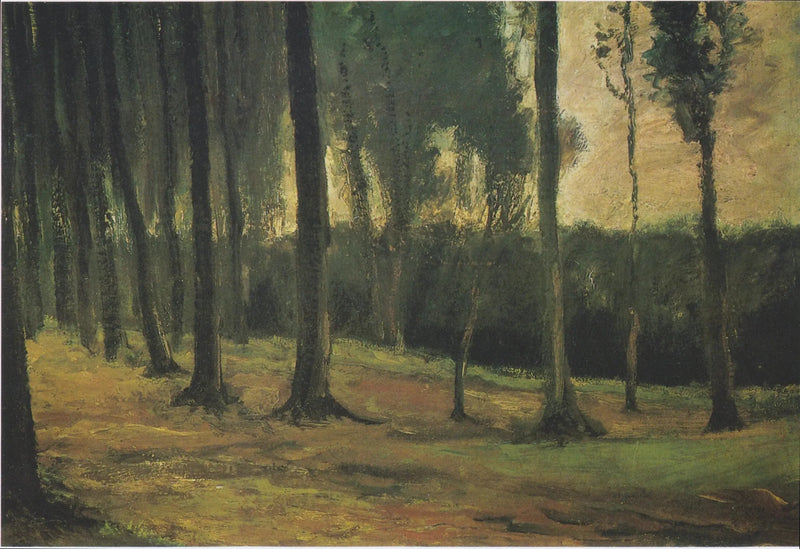 edge of a wood - Vincent van Gogh