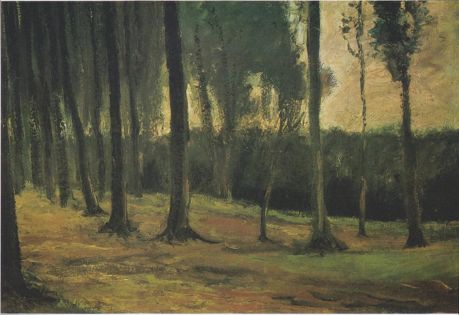 edge of a wood - Vincent van Gogh