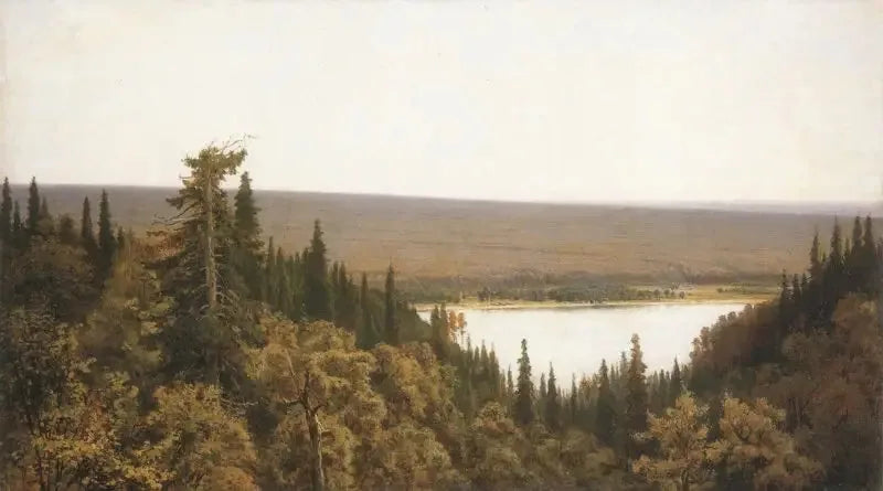 Rich Log (Fir Forest on Kama) - Ivan Chichkine