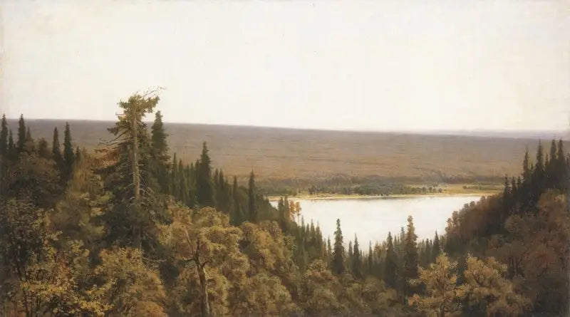 Rich Log (Fir Forest on Kama) - Ivan Chichkine