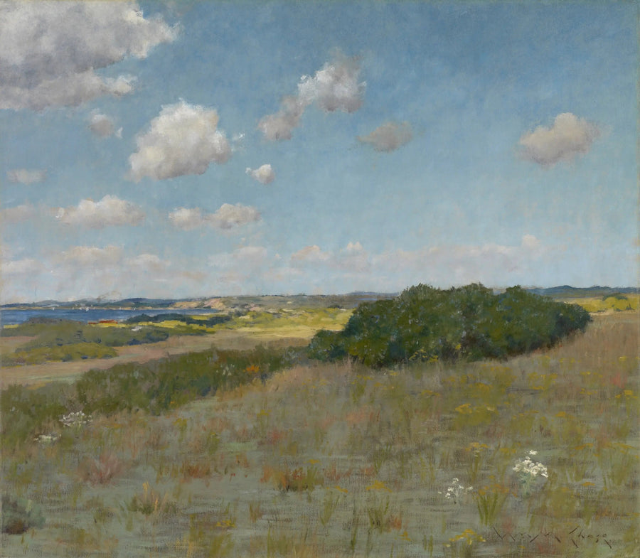 Sunlight and Shadow, Shinnecock Hills - William Merritt Chase