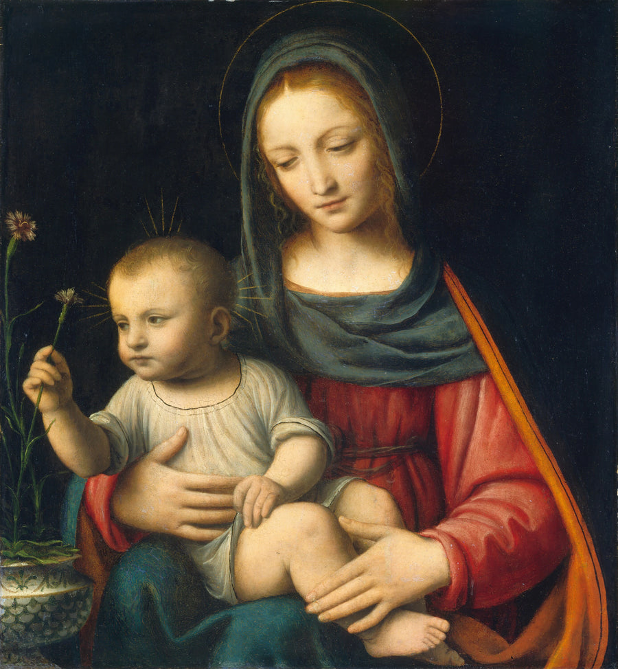 La Madone à l'Œillet - Bernardino Luini
