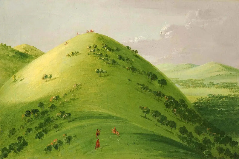 Magnificent Prairies, Upper Mississippi - George Catlin