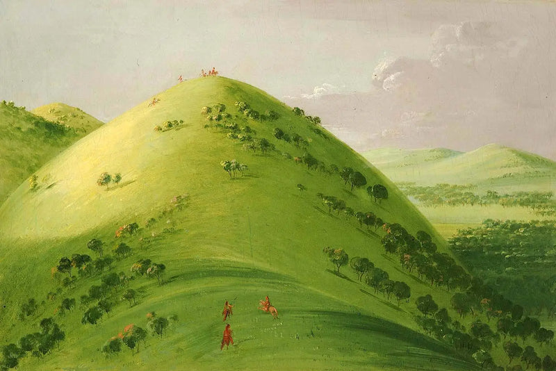 Magnificent Prairies, Upper Mississippi - George Catlin