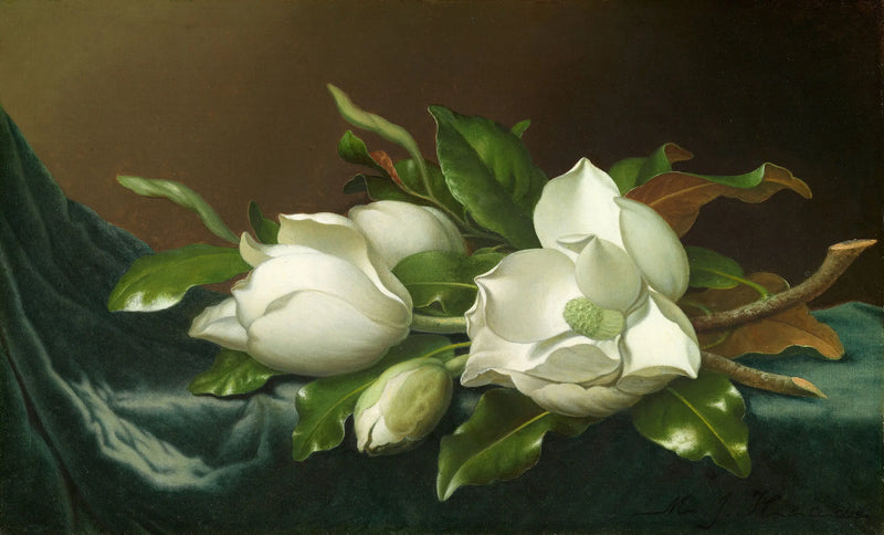 Magnolias on light blue velvet fabric - Martin Johnson Heade