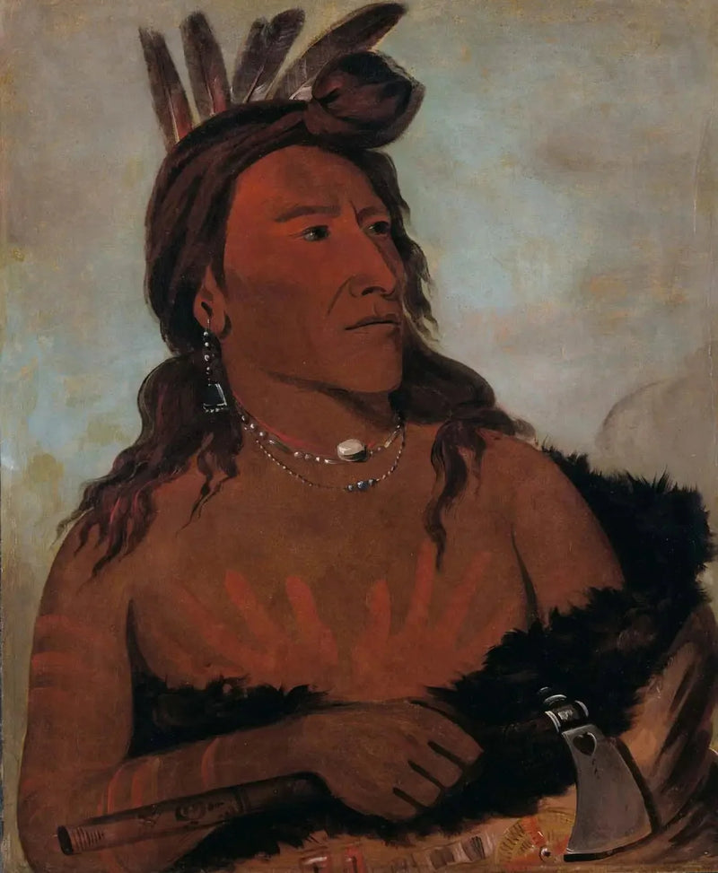 Mah-tó-che-ga, Little Bear, a Hunkpapa Brave - George Catlin