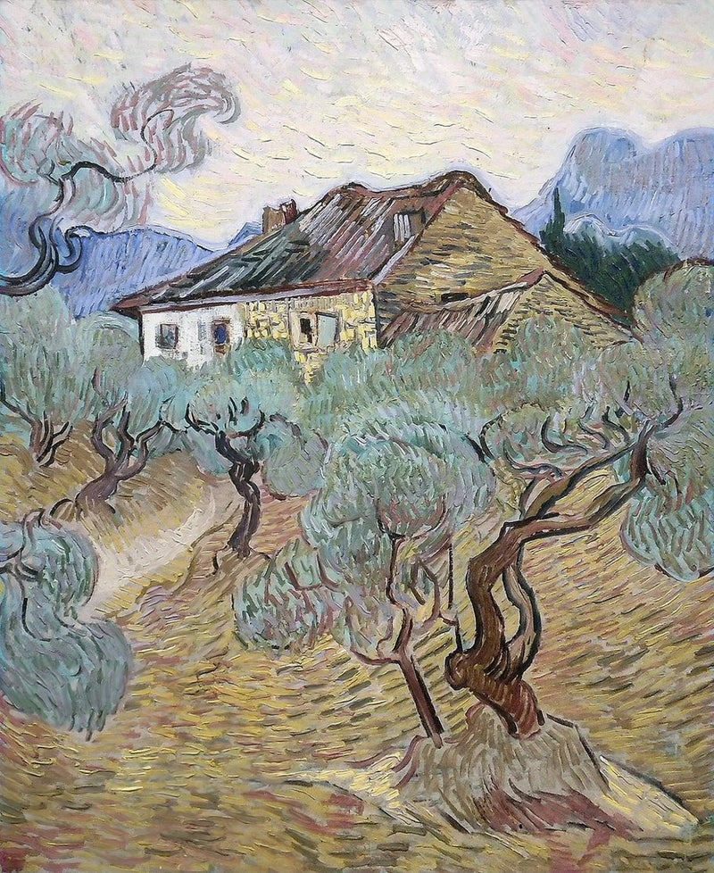 The white house among the olive trees - Vincent van Gogh