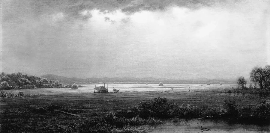 Newburyport Marsh - Martin Johnson Heade