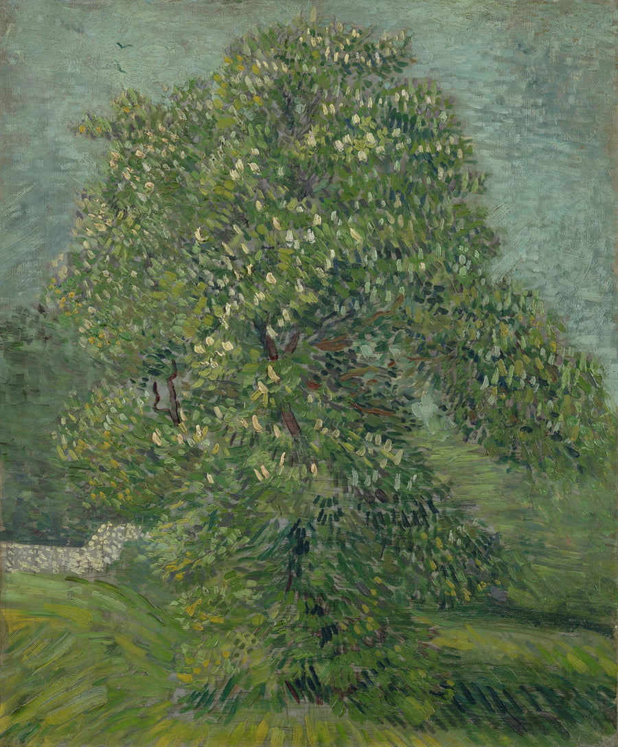 Horse Chestnut in Bloom - Vincent van Gogh