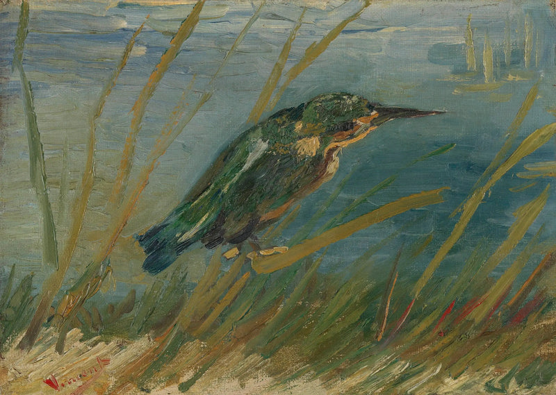 Kingfisher by the water's edge - Vincent van Gogh