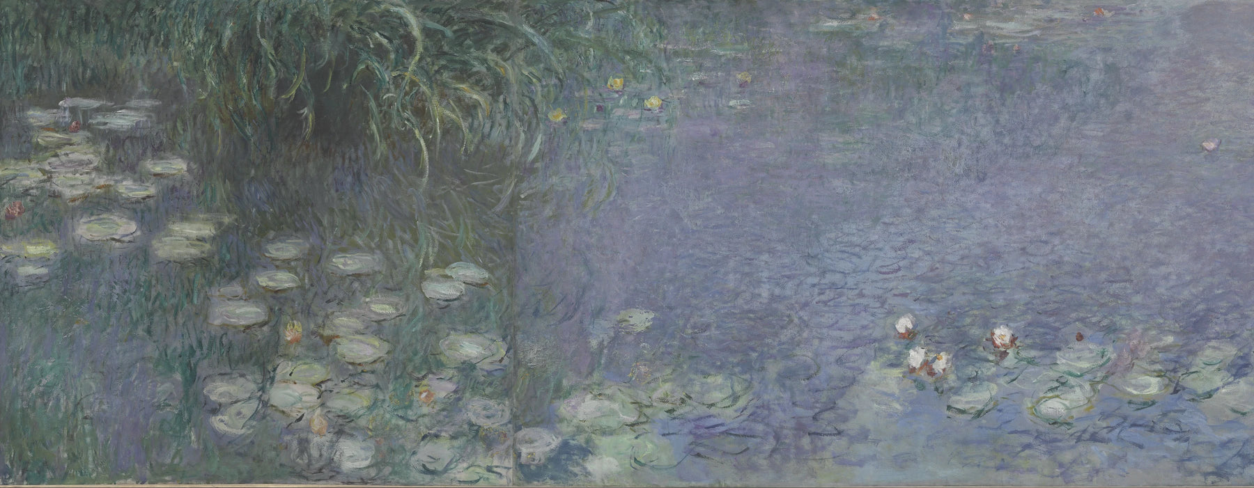 Détail des nymphéas et de la lumière bleue du matin dans Matin INV 20101