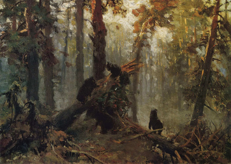 Morning in a pine forest. Sketch - Ivan Chichkine