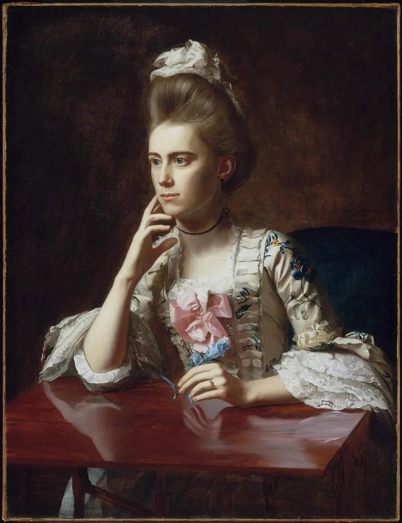 Mrs. Richard Skinner (Dorothy Wendell) - John Singleton Copley