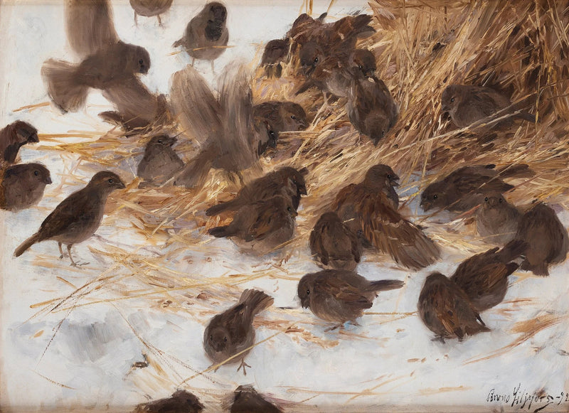 Sparrows on a sheaf of oats - Bruno Liljefors