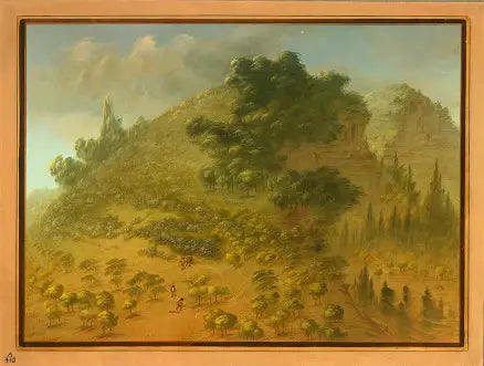 Rhododendron Mountain - George Catlin