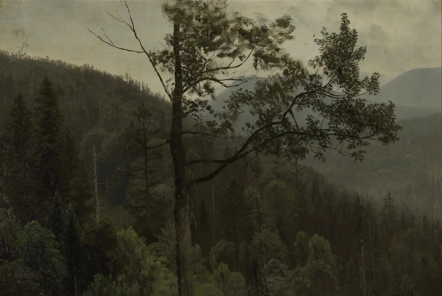 Forested Mountains - Albert Bierstadt