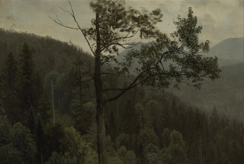 Forested Mountains - Albert Bierstadt