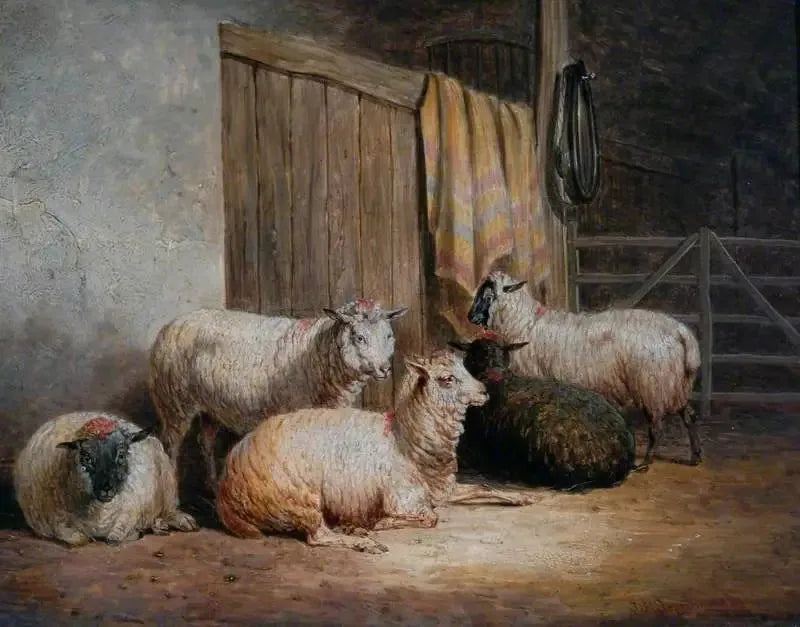 Sheep - John Frederick Herring, Sr.